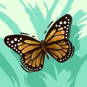 Meet your Posher, Alyisa